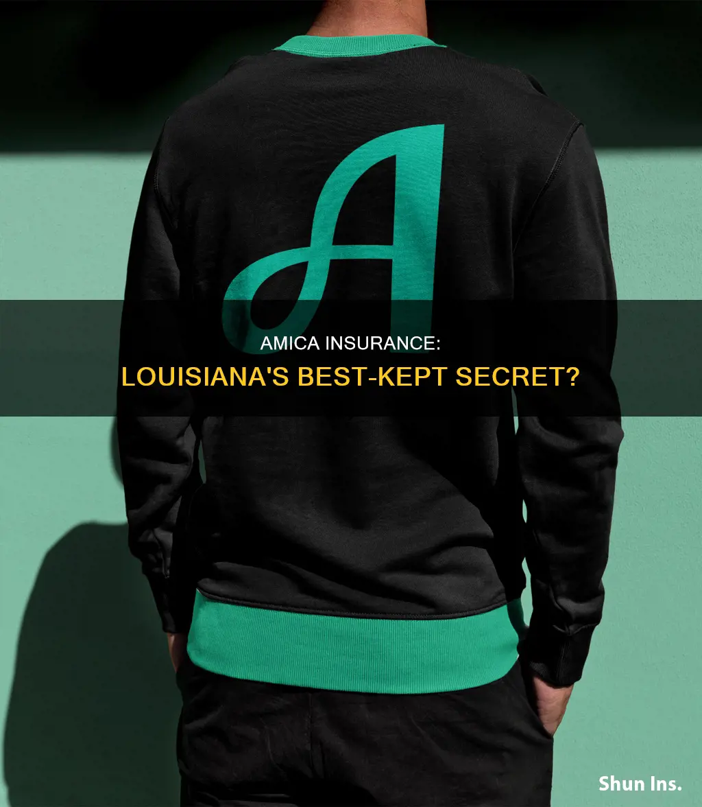 does amica insurance service louisiana