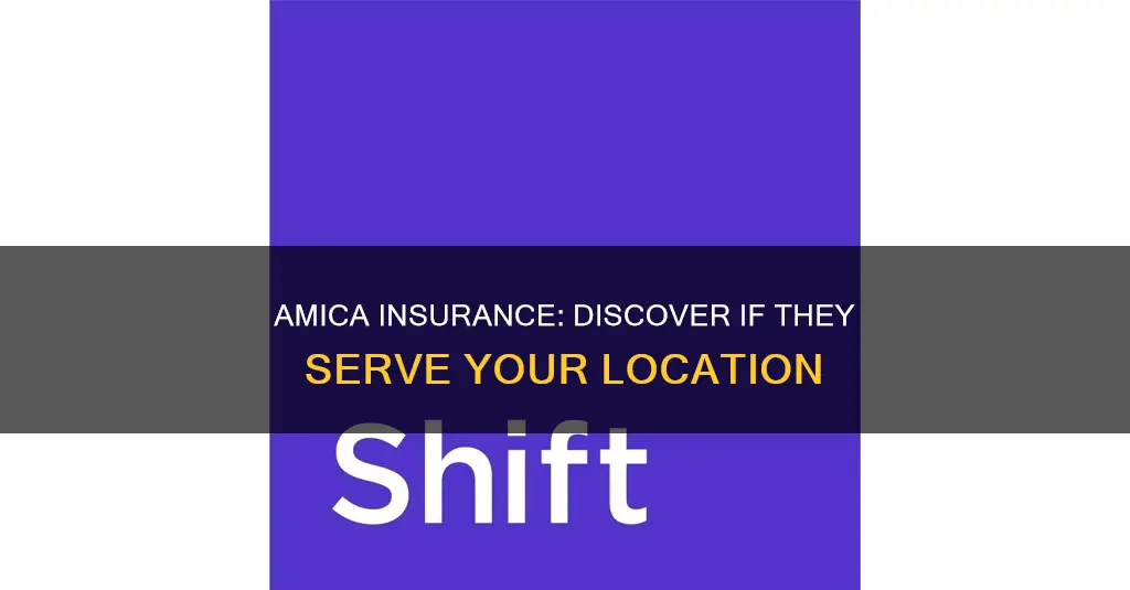 does amica insurance service my area