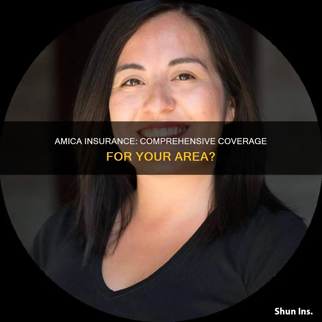 does amica insurance service my area