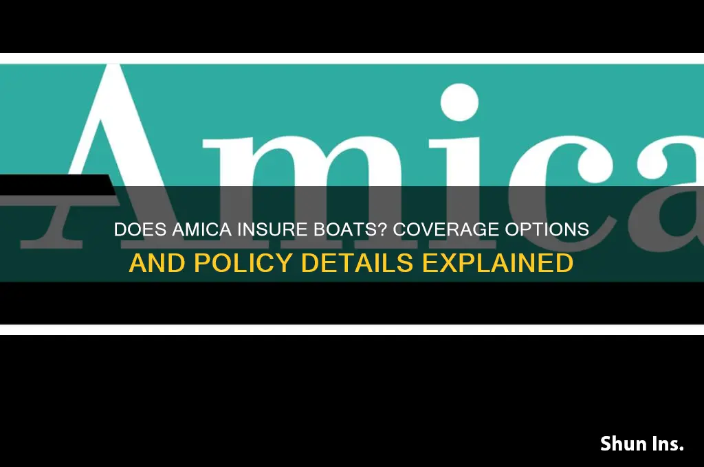 does amica insure boats