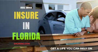 Amica Insurance in Florida: What You Need to Know