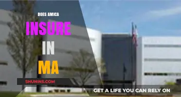 Does Amica Offer Insurance Coverage in Massachusetts? Find Out Here