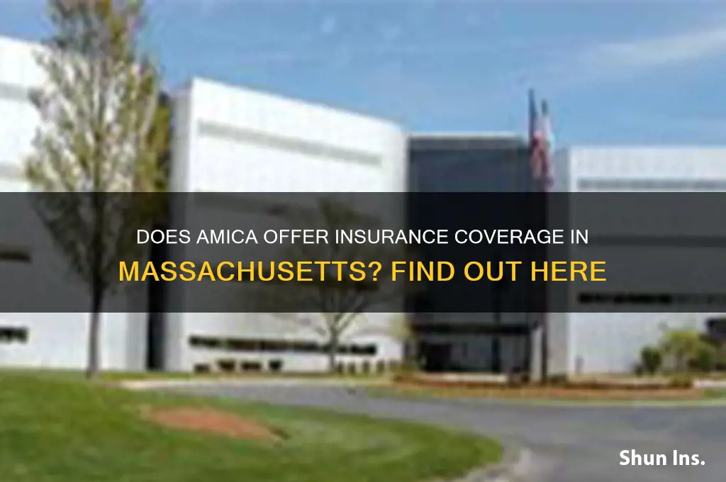 does amica insure in ma