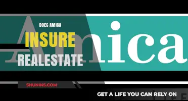 Does Amica Offer Real Estate Insurance? A Comprehensive Guide