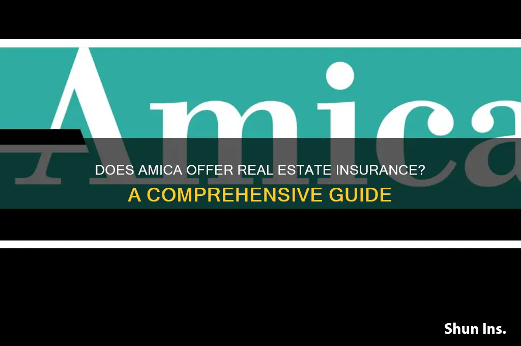 does amica insure realestate