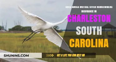 Amica Mutual: Home Insurance in Charleston, South Carolina?