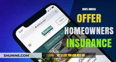 Amica's Home Insurance: What You Need to Know