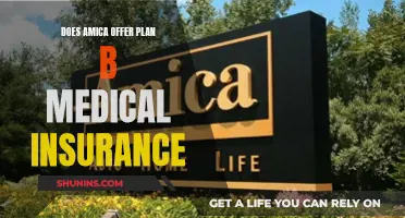 Amica's Plan B Medical Insurance: What You Need to Know