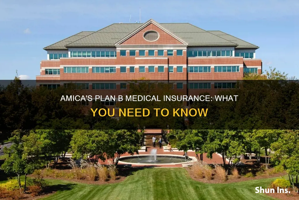 does amica offer plan b medical insurance