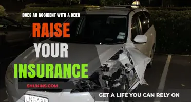 Deer-Related Accidents: Will Your Insurance Rates Spike?