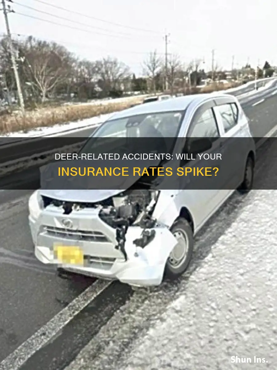 does an accident with a deer raise your insurance