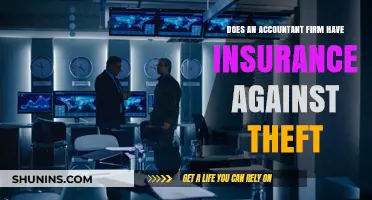 Accountant Firm Insurance: Protection Against Theft?