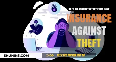 Do Accounting Firms Carry Insurance Against Employee Theft?
