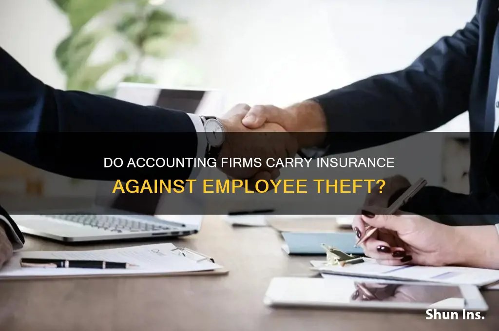 does an accountantant firm have insurance against theft