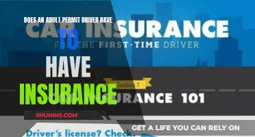 Adult Permit Drivers: Insurance Requirement Explained