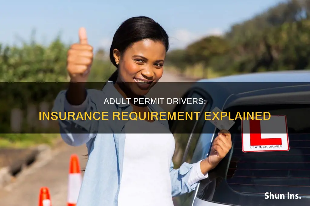 does an adult permit driver have to have insurance