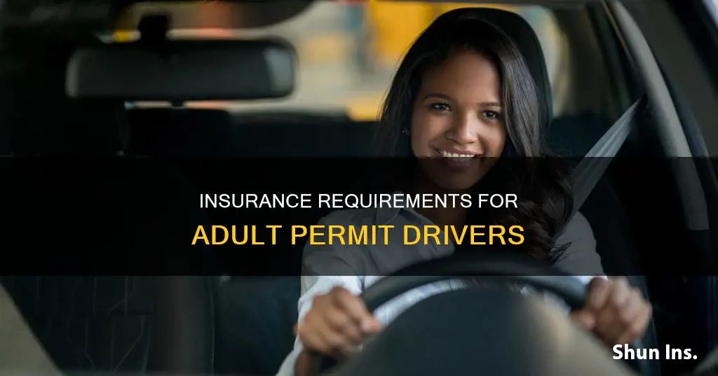 does an adult permit driver have to have insurance