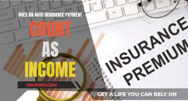 Auto Insurance Payments: Exploring Their Impact on Income and Finances