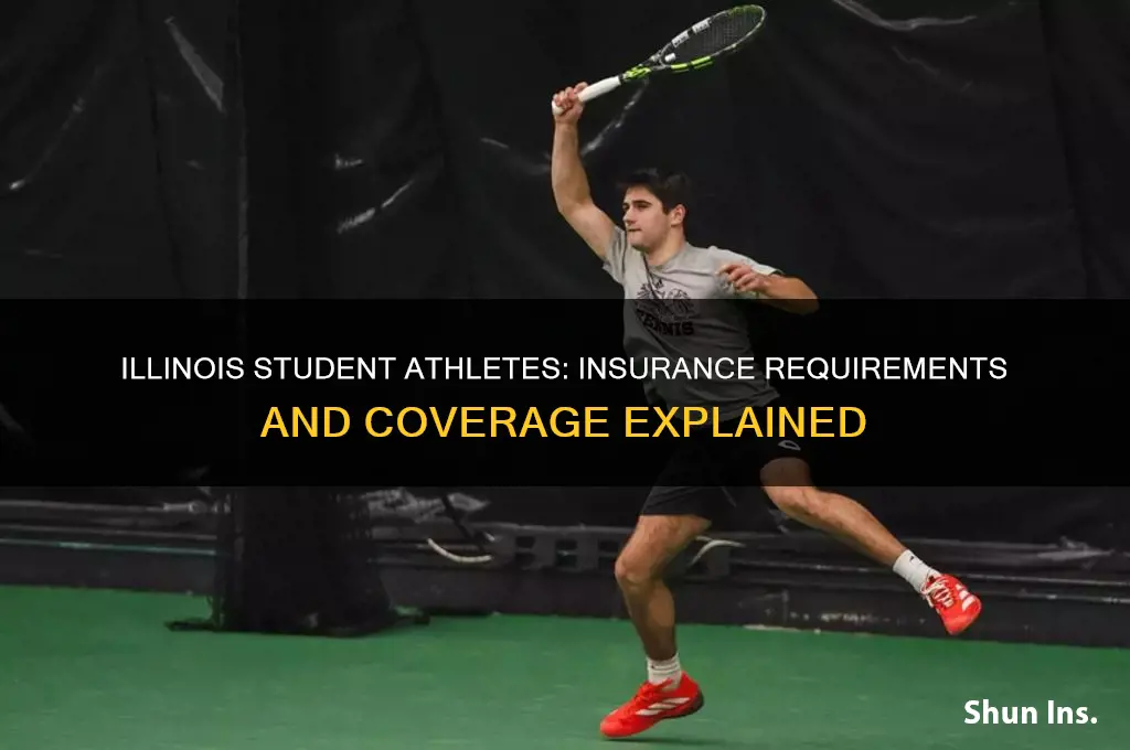 does an illinois student athlete have to have insurance