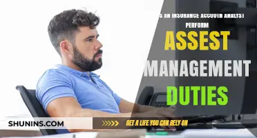 Insurance Account Analyst Role: Asset Management Duties Explained