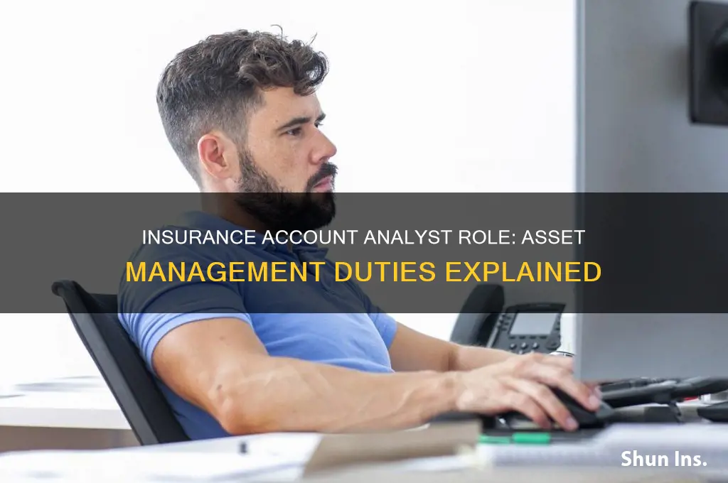 does an insurance accoutn analyst perform assest management duties