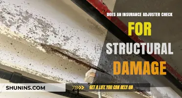 How Insurance Adjusters Assess Structural Damage Claims