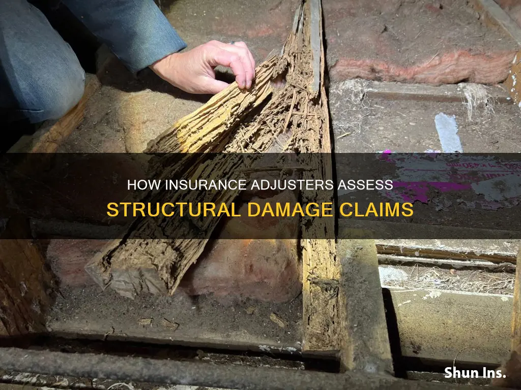 does an insurance adjuster check for structural damage