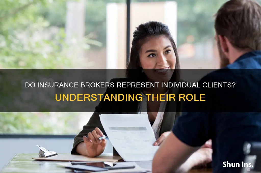 does an insurance broker represent individual clients