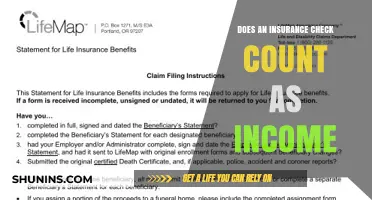 Insurance Checks: Are They Considered Income?