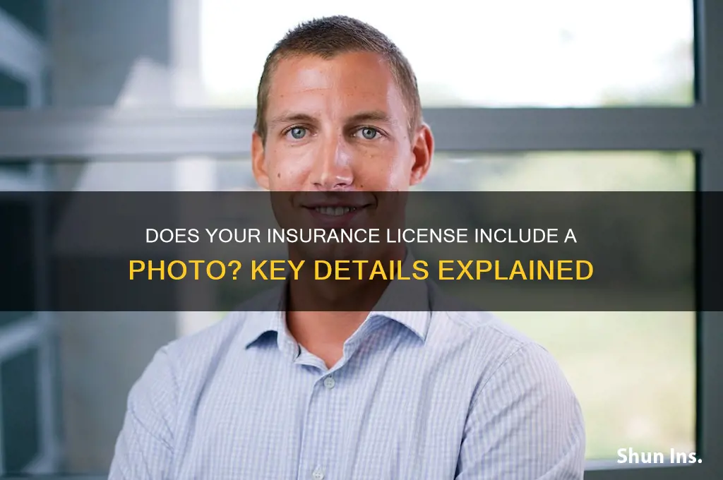 does an insurance lisence have a photo