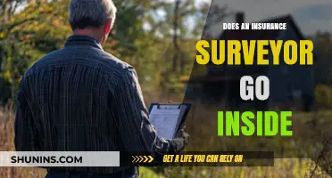 Surveyor's Role: Inside or Out?