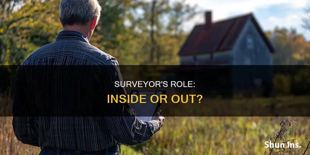 does an insurance surveyor go inside