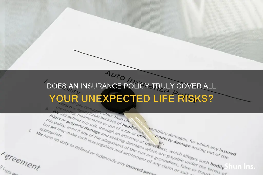 does an insurance