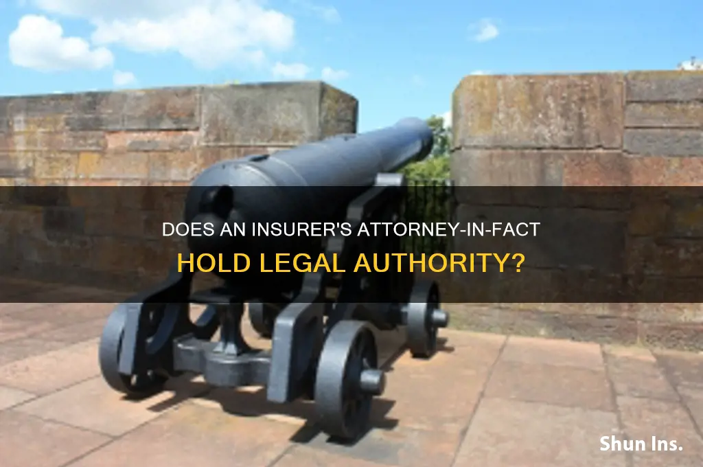 does an insurer attorney in fact