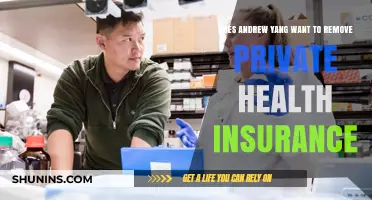 Andrew Yang's Vision: Eliminating Private Health Insurance in America?