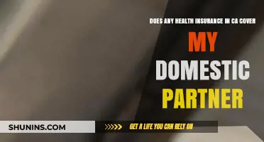 Does California Health Insurance Cover Your Domestic Partner? Find Out