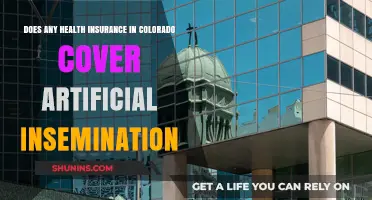 Colorado Health Insurance: Does It Cover Artificial Insemination Costs?