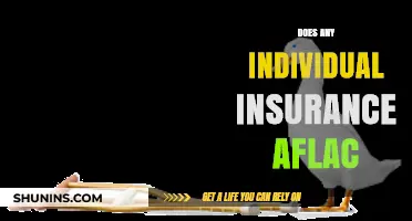 Does Individual Insurance Include Aflac? Understanding Your Coverage Options