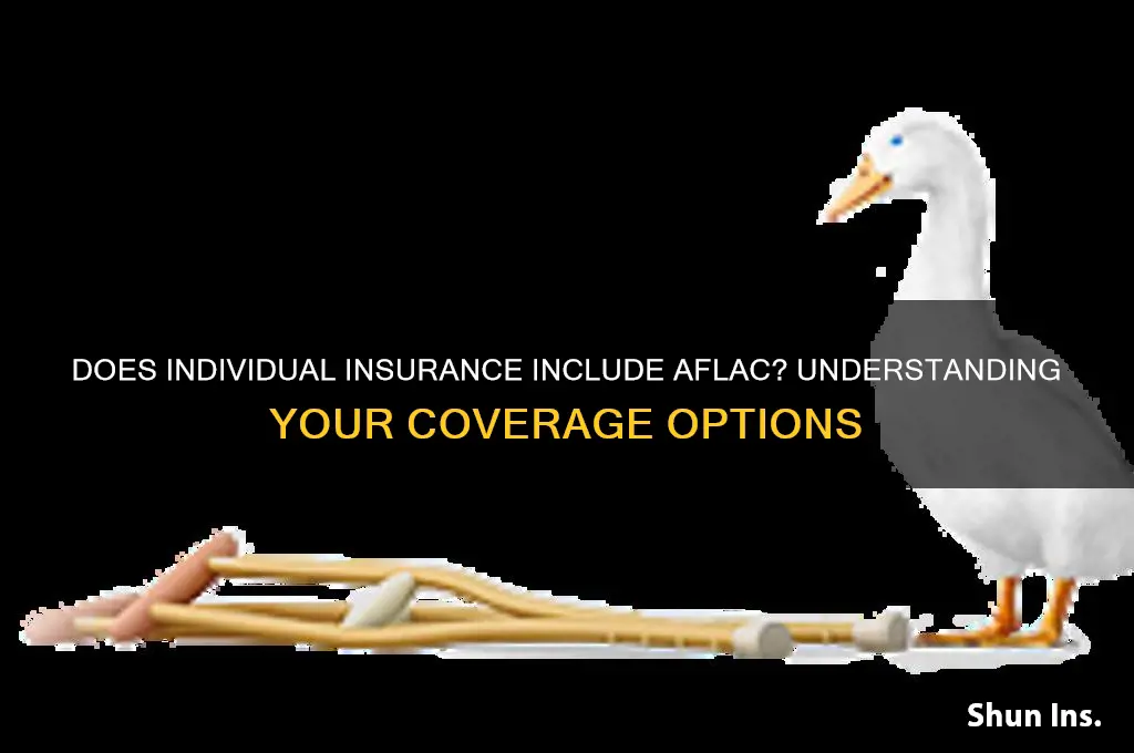 does any individual insurance aflac