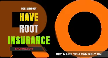 Does Anybody Have Root Insurance? Exploring Coverage Options and Benefits