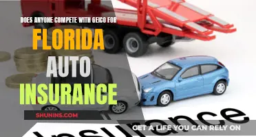 The Battle for Florida's Auto Insurance: GEICO's Dominance Challenged?