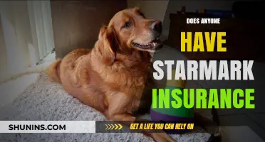 Does Anyone Have Starmark Insurance? A Comprehensive Review and User Experiences