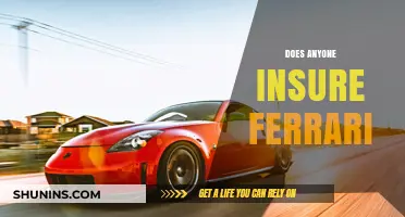 Does Anyone Insure a Ferrari? Exploring High-End Car Coverage