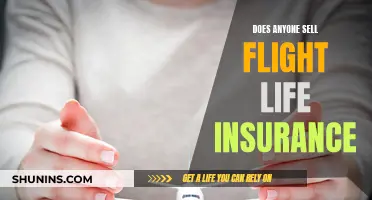 Flight Life Insurance: Who Sells It and Why You Need It