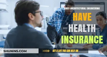 Architectural Engineering Careers: Health Insurance Benefits and Coverage Explained