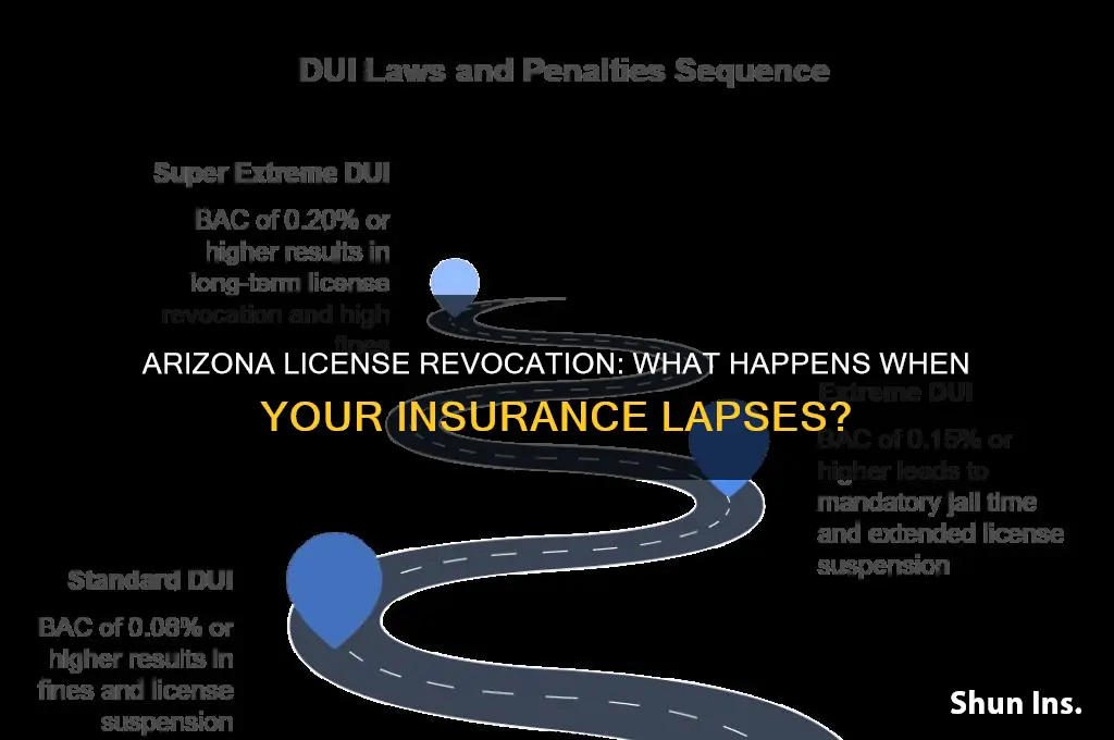 does arizonia revoke yoir licensebif your insurance lapses