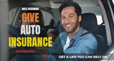 Assurant Auto Insurance: What You Need to Know