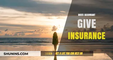 Does Assurant Provide Insurance? Understanding Their Coverage Options