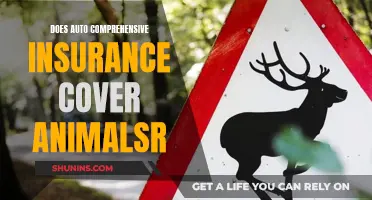 Comprehensive Auto Insurance: Animal Encounters Covered?