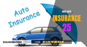 The Auto Insurance Age Conundrum: Unraveling the Mystery of '25